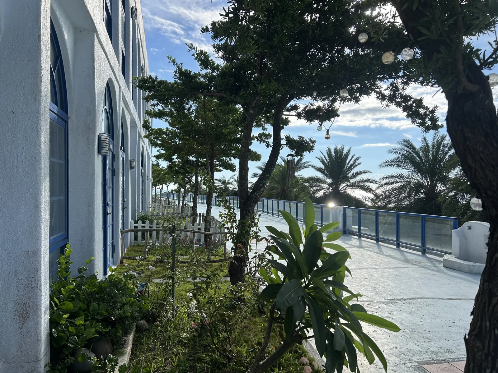 林蔭步道