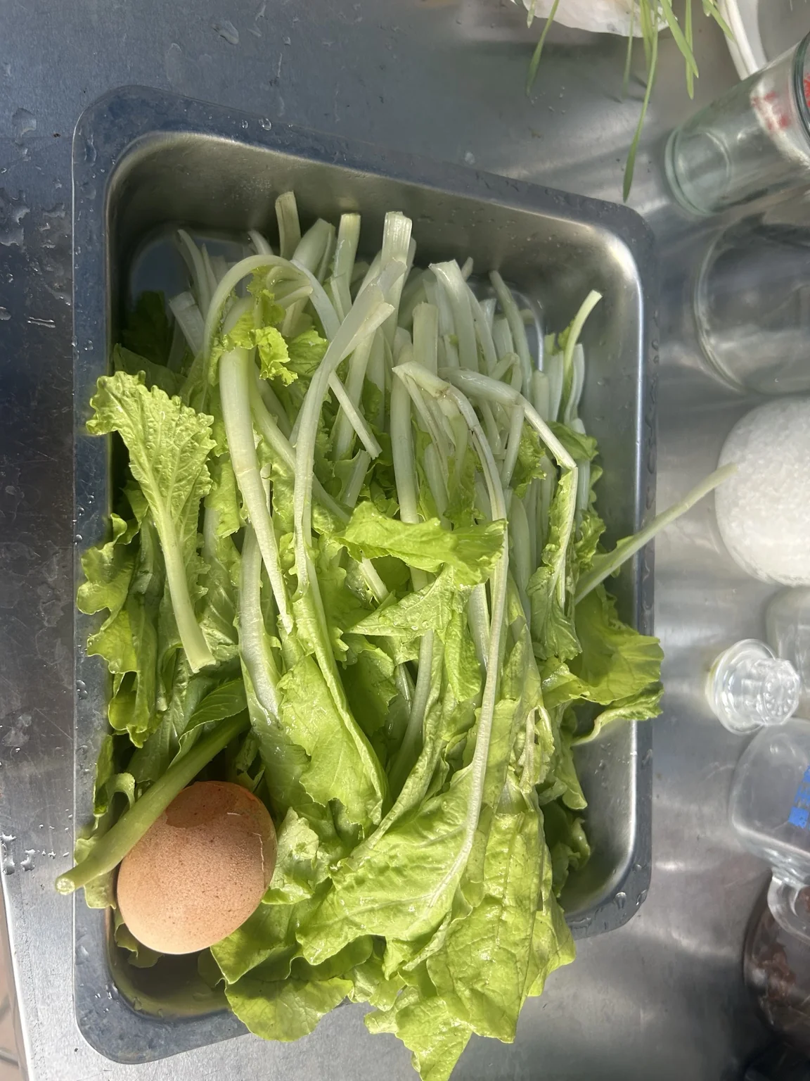 清洗整理後的新鮮無農藥蔬菜與雞蛋